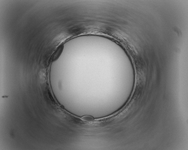 X0000116881353201001051456
