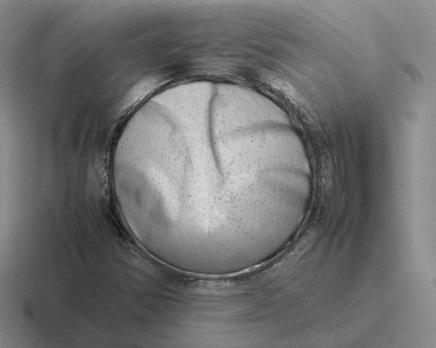 X0000116881354201001051456