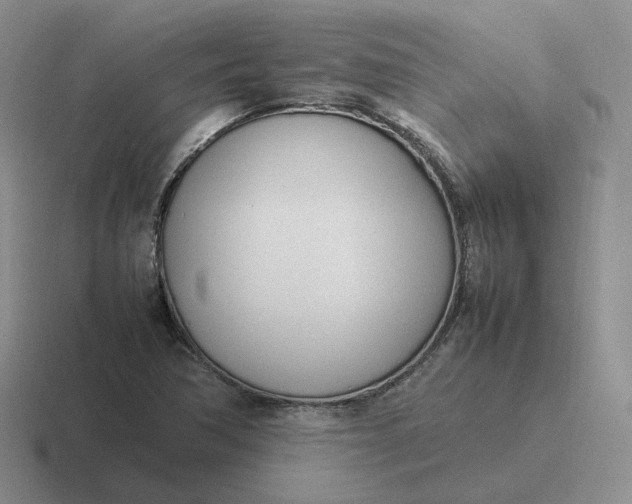 X0000116881362201001051456