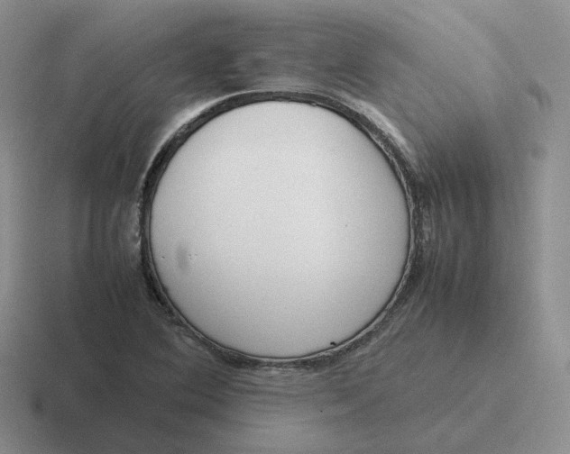 X0000116881364201001051456