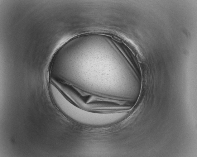X0000116881365201001051456