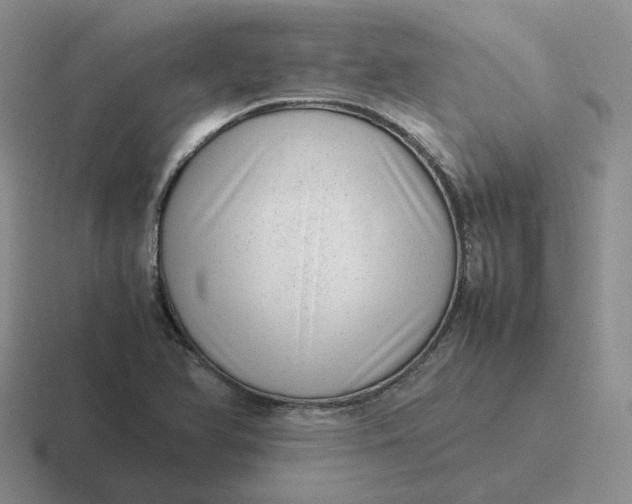 X0000116881366201001051456