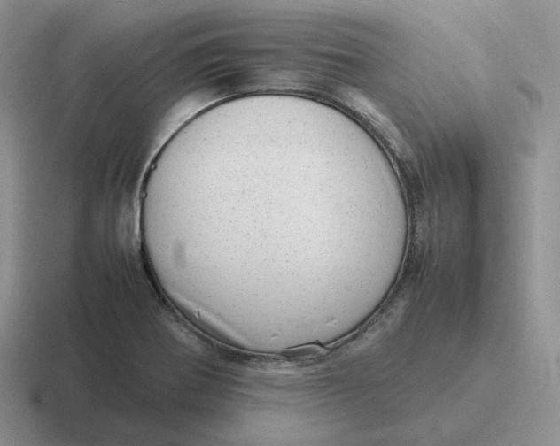 X0000116881370201001051456