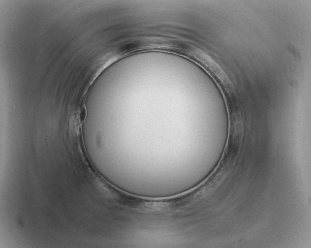 X0000116881377201001051456