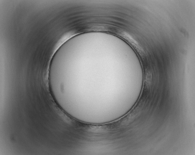 X0000116881378201001051456