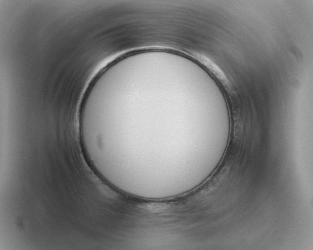 X0000116881380201001051456