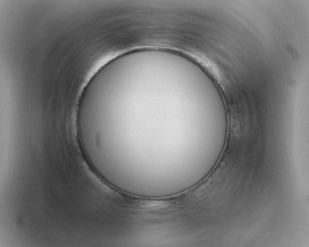 X0000116881382201001051456