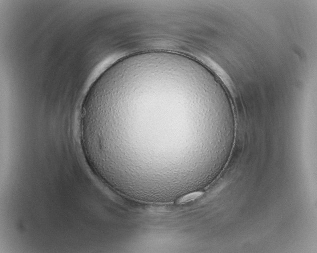 X0000116881389201001051455