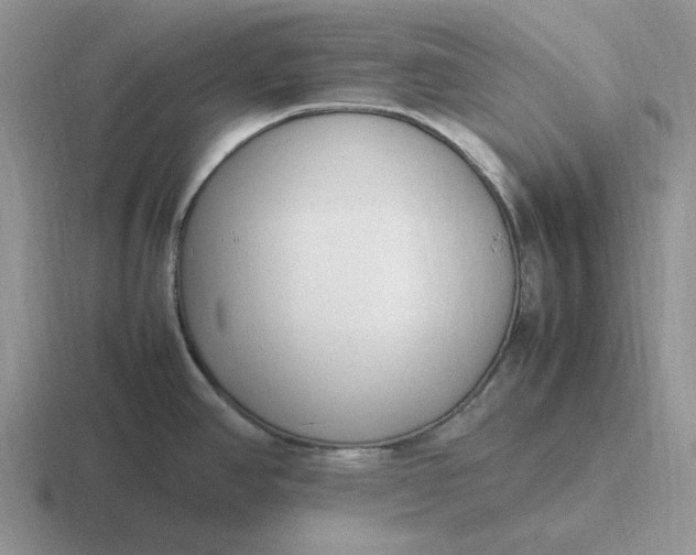 X0000116881390201001051455