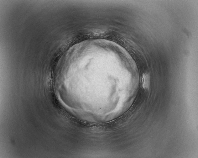 X0000116881395201001051455