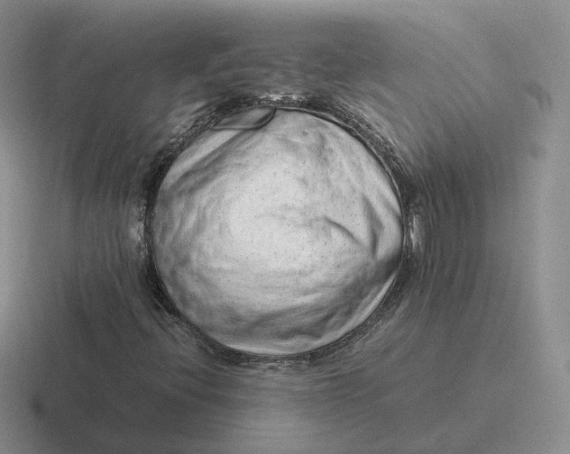 X0000116881396201001051455