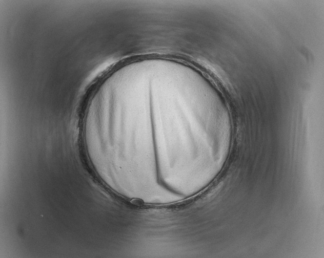 X0000116881406201001051455