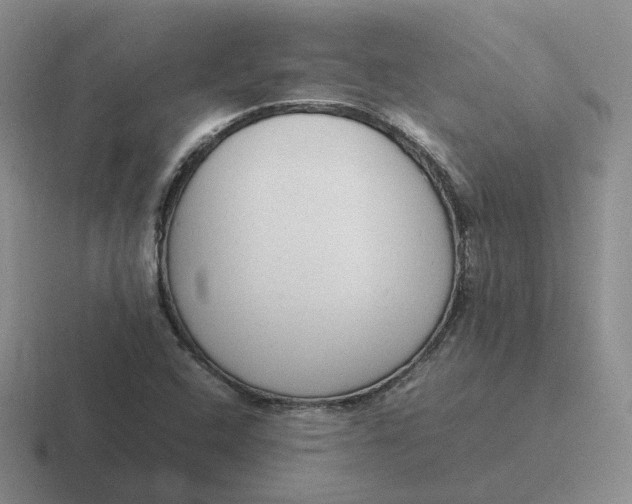 X0000116881408201001051455