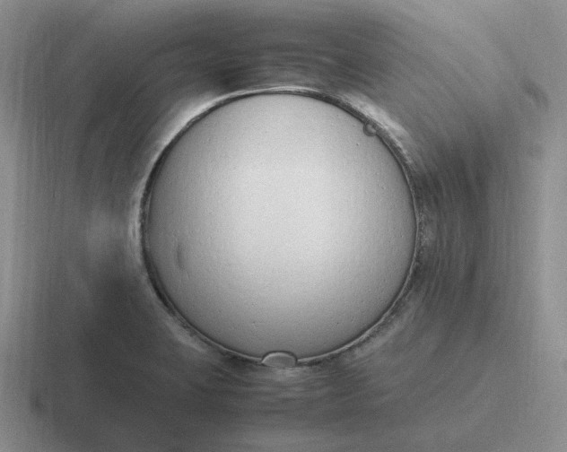 X0000116881423201001051455