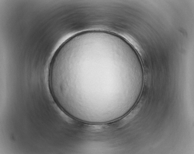 X0000116881438201001051455