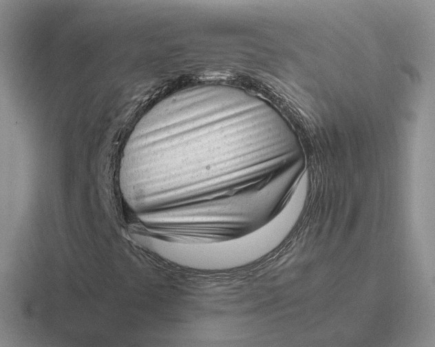 X0000116881441201001051455