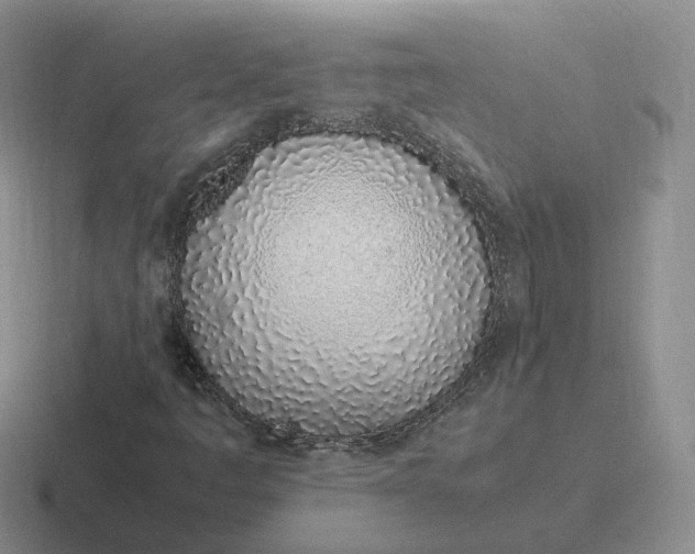X0000116881445201001051455