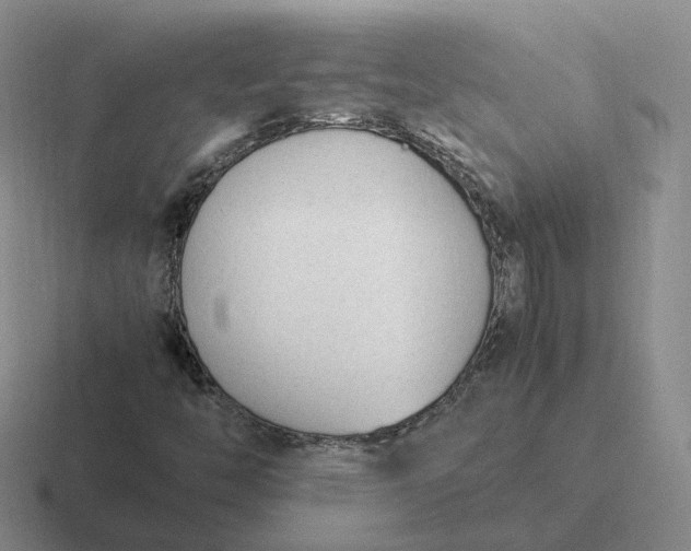 X0000116881446201001051455