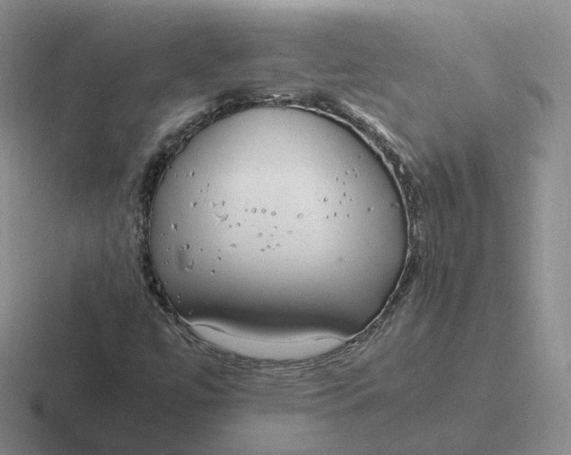 X0000116881447201001051455