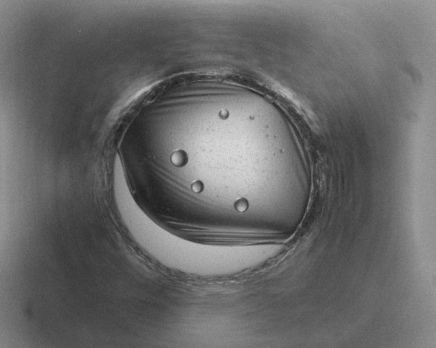 X0000116881448201001051455