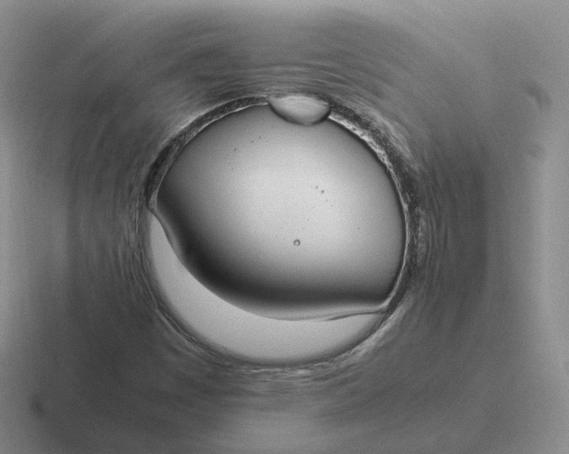 X0000116881449201001051455