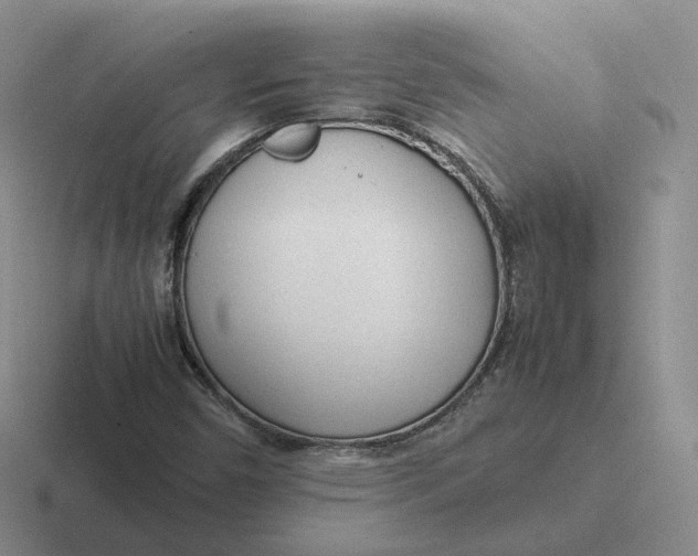 X0000116881450201001051455