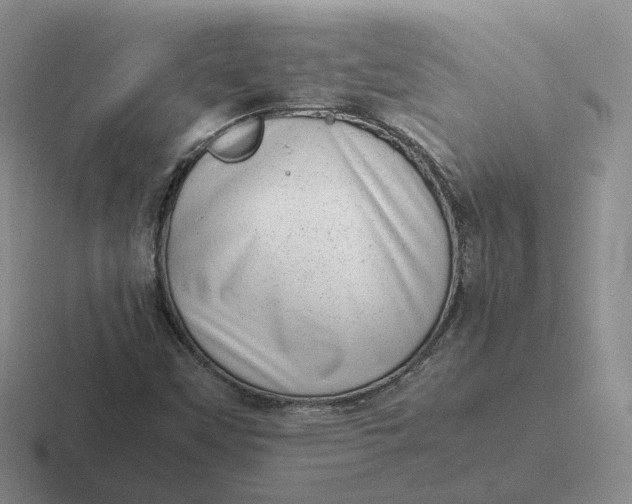 X0000116881451201001051455