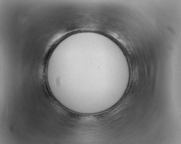 X0000116881454201001051455