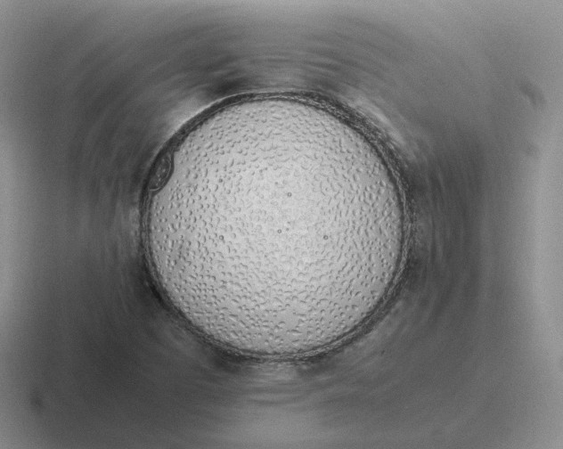 X0000116881457201001051455
