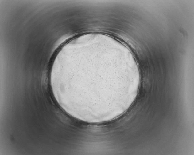 X0000116881458201001051455