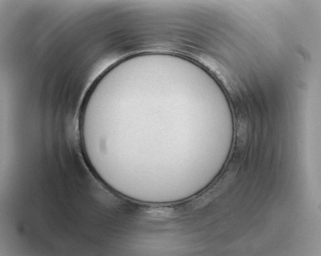X0000116881466201001051455