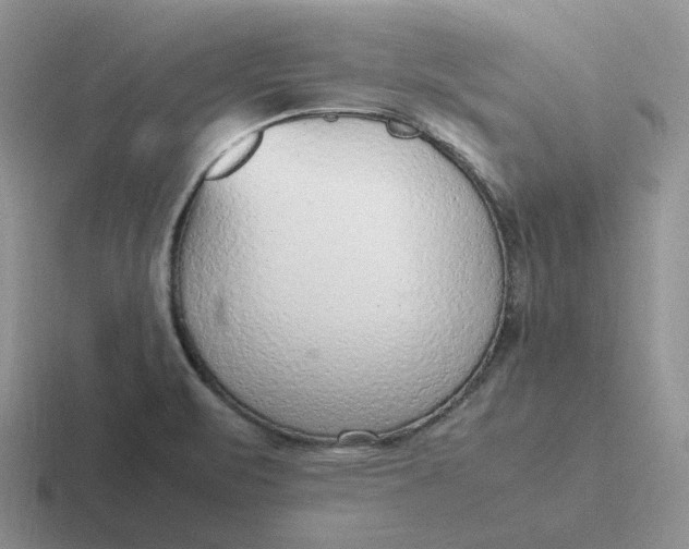 X0000116881471201001051454