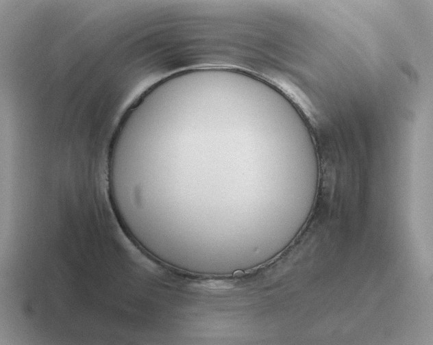 X0000116881476201001051454