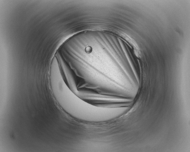 X0000116881481201001051454