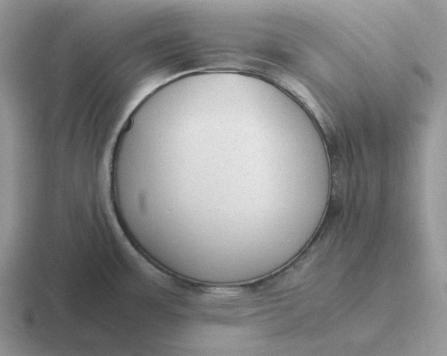 X0000116881483201001051454