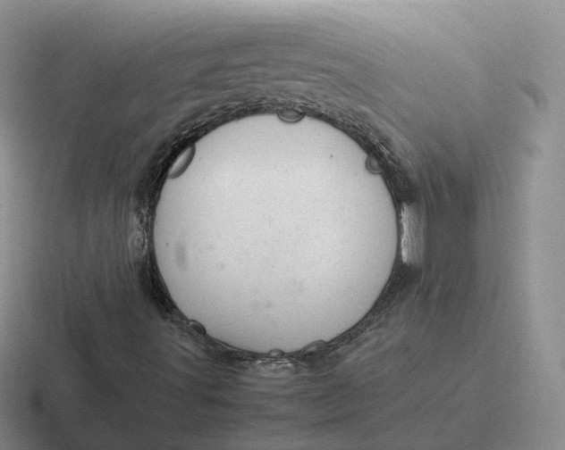 X0000116881491201001051453