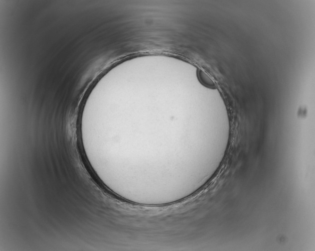 X0000116880002201001121332