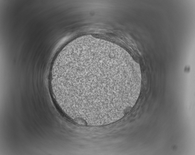 X0000116880003201001121332