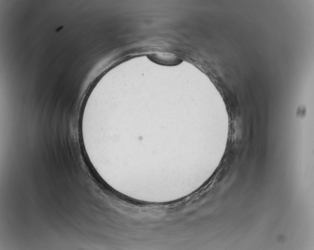 X0000116880004201001121332