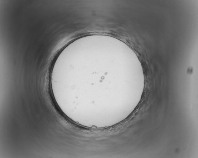 X0000116880005201001121332