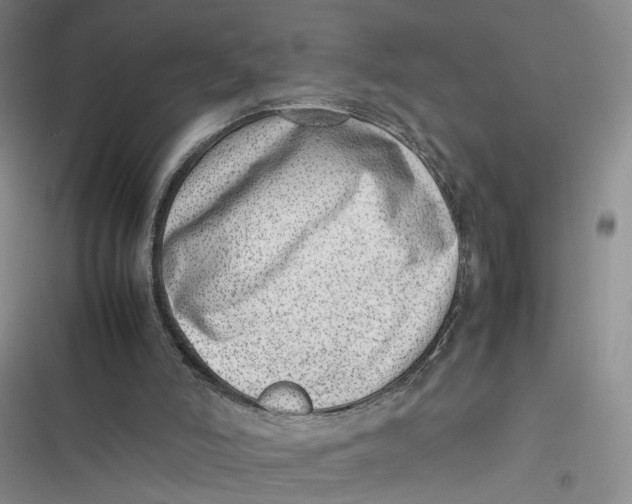 X0000116880006201001121332