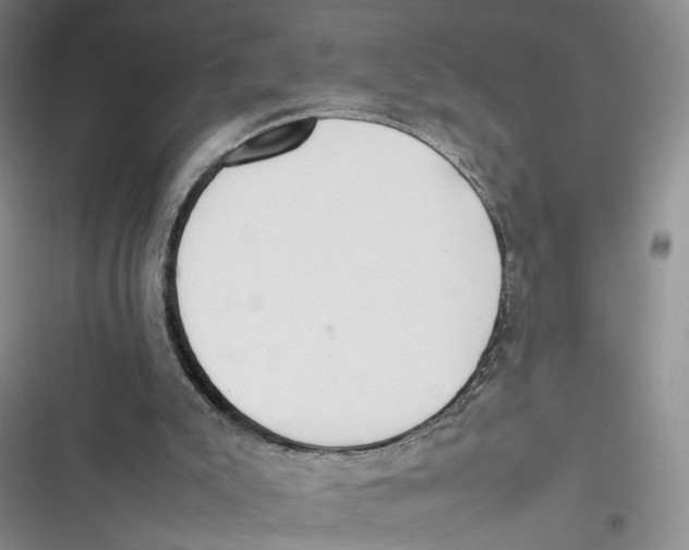 X0000116880007201001121332