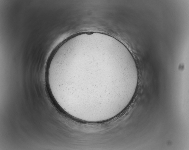 X0000116880008201001121332
