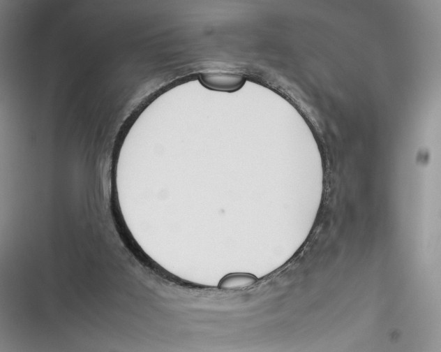 X0000116880011201001121332