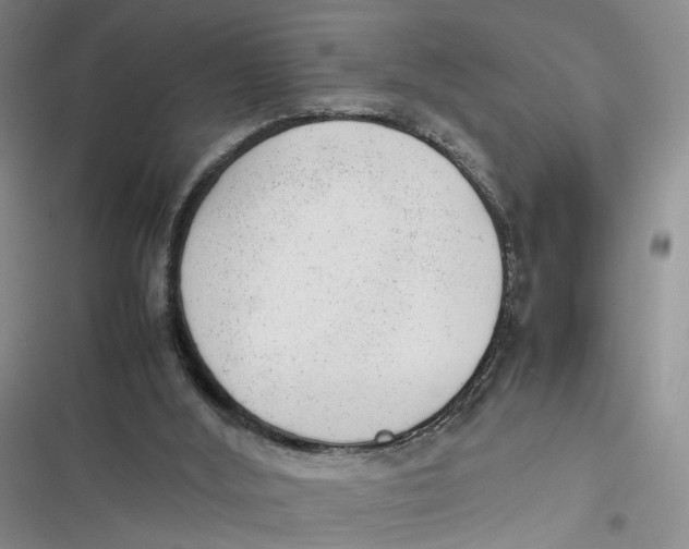X0000116880012201001121332