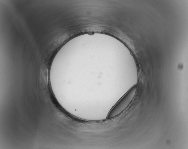 X0000116880013201001121332