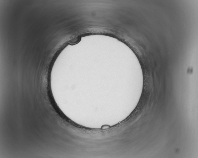 X0000116880015201001121332