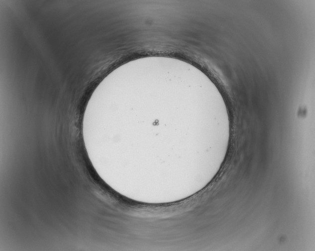 X0000116880017201001121332