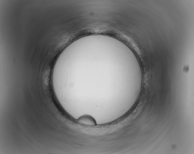 X0000116880018201001121332