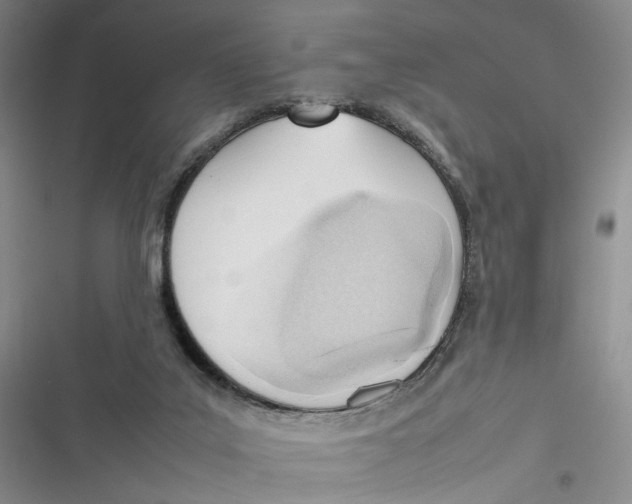 X0000116880019201001121332